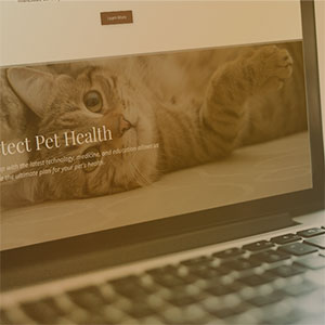CLICK HERE to see some live veterinary websites.